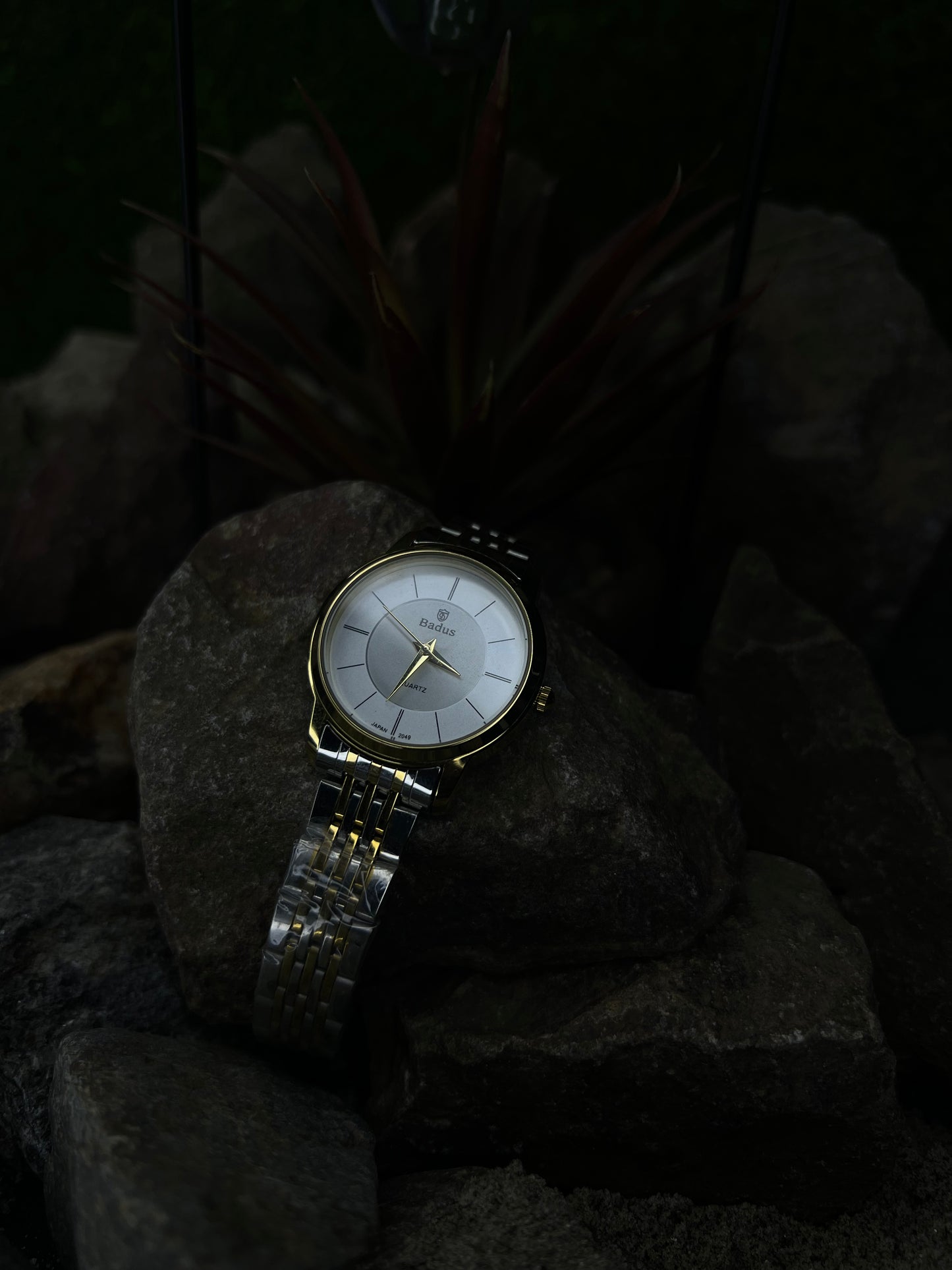 Badus Elegance Two-Tone Women’s Watch – Silver & Gold Luxury Timepiece